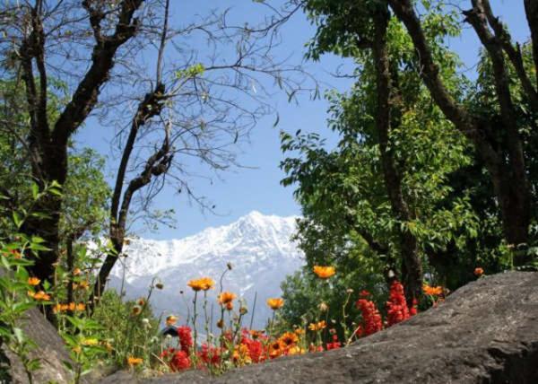 Mountain Villa Mcleodganj Dharamshala Luaran gambar
